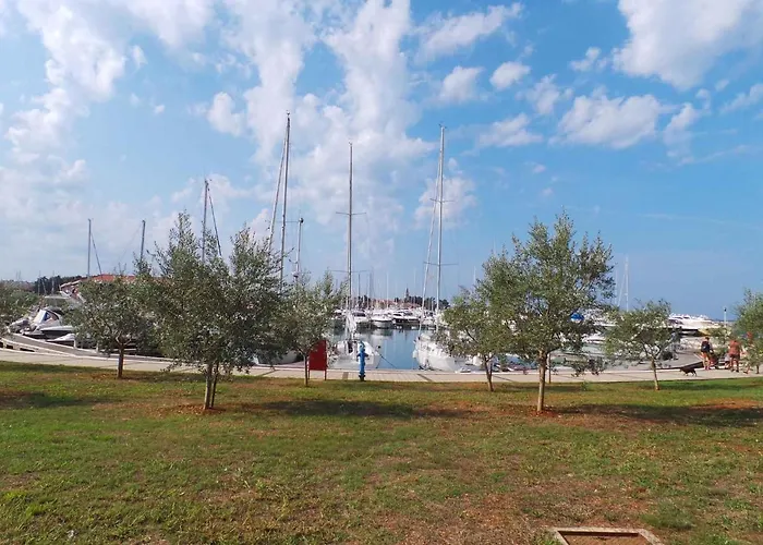 Apartments in Novigrad/Istrien 31220