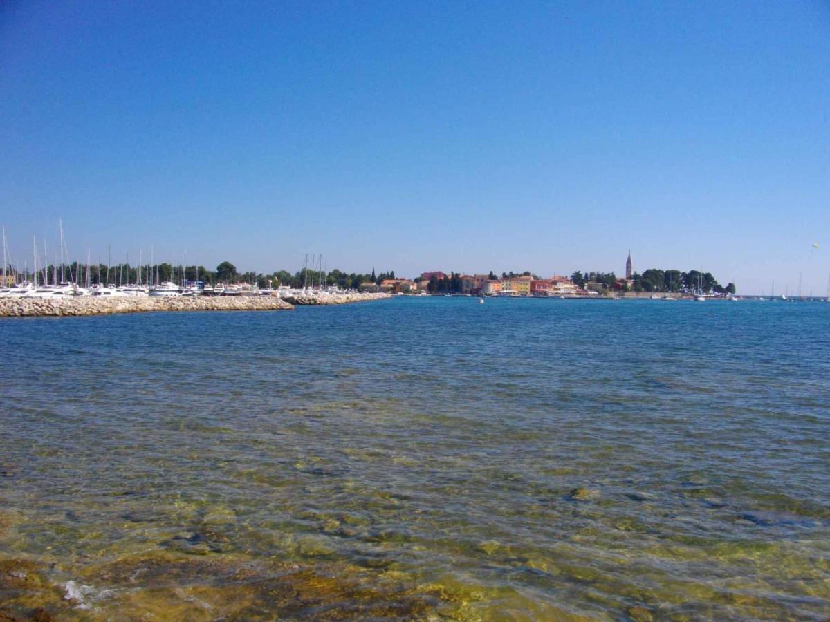 In Novigrad/istrien 31220 Appartement